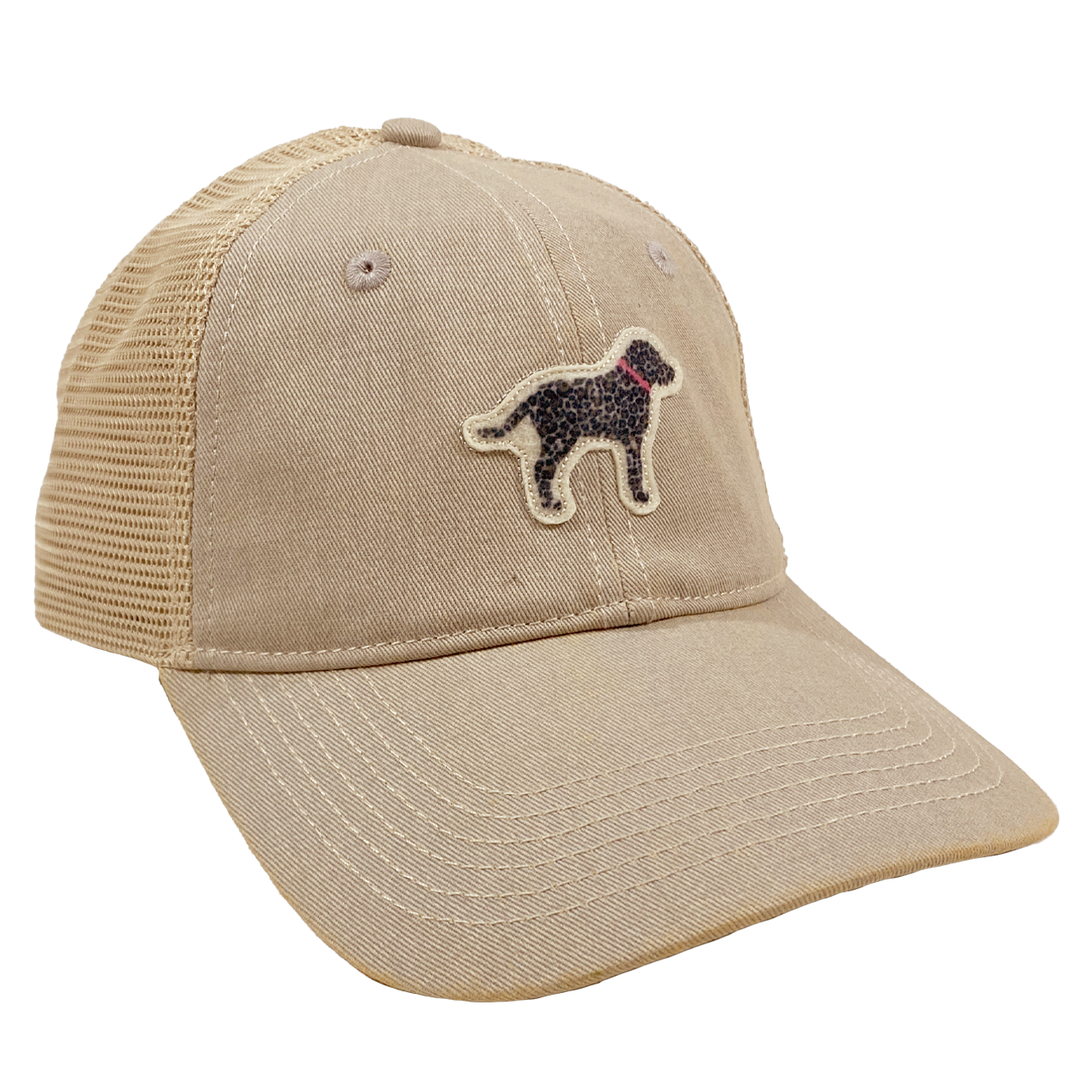 Cheetah Hound Hat