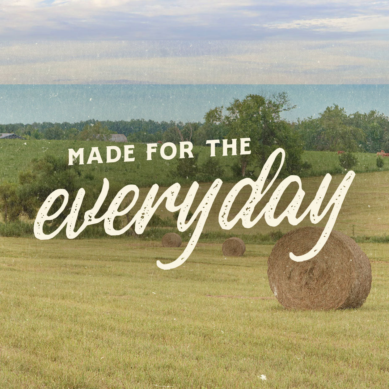 Men's Short Sleeve Shirts