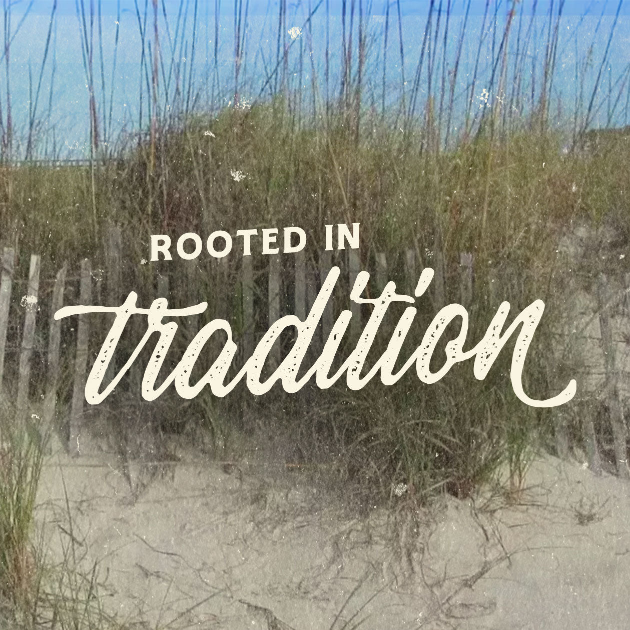 Women's Short Sleeve Shirts