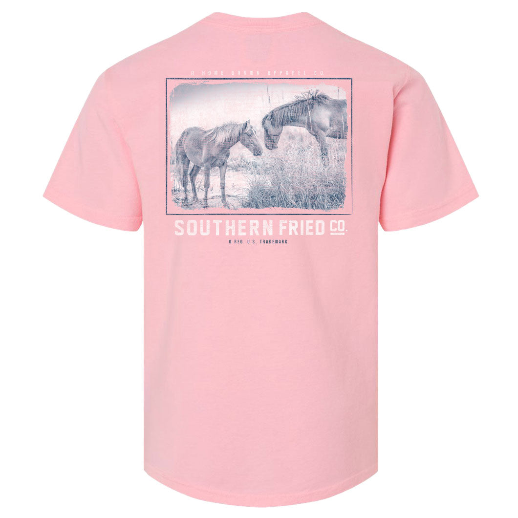 Wild Horse